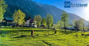 Kashmir in Winter: Top Places You Can't Miss to Explore