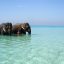 Elephant-Beach-Havelock-Island-1
